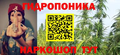 ECSTASY Камышлов