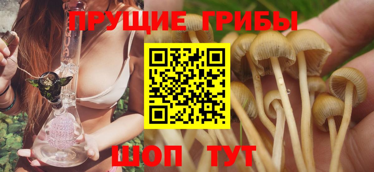 Галлюциногенные грибы мицелий  Вход с VPN  наркота  Лесозаводск 