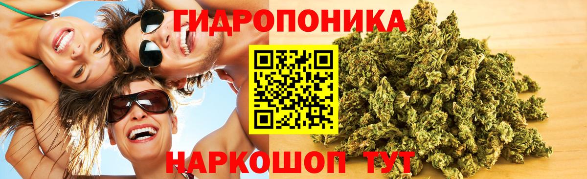Бошки марихуана марихуана  МАРИХУАНА семена  Бошки марихуана индика  Лесозаводск  Вход с VPN 